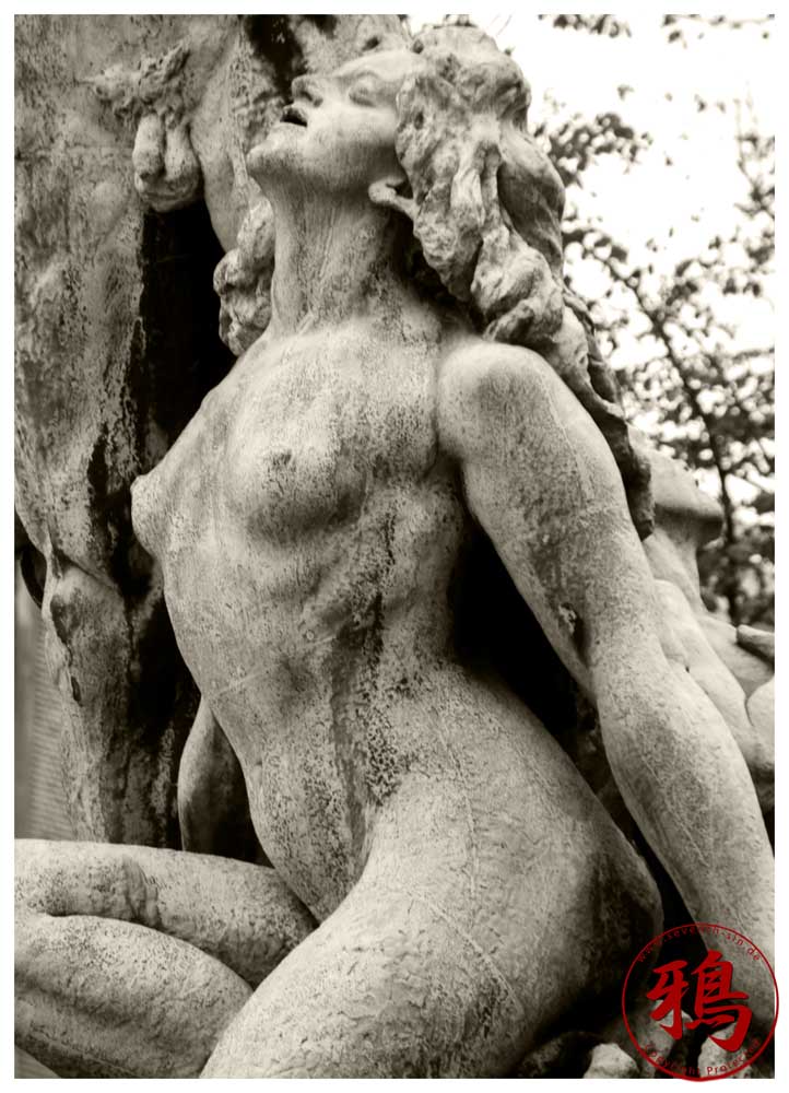 Mod Lyset (Towards the Light)