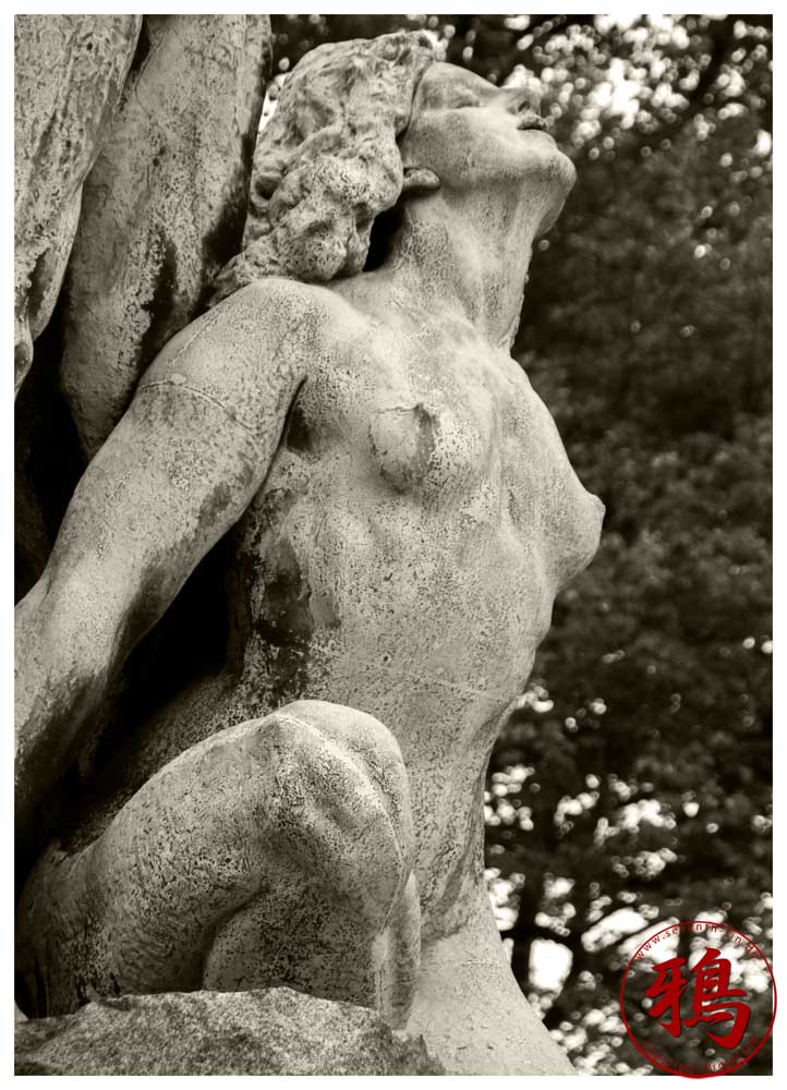 Mod Lyset (Towards the Light)