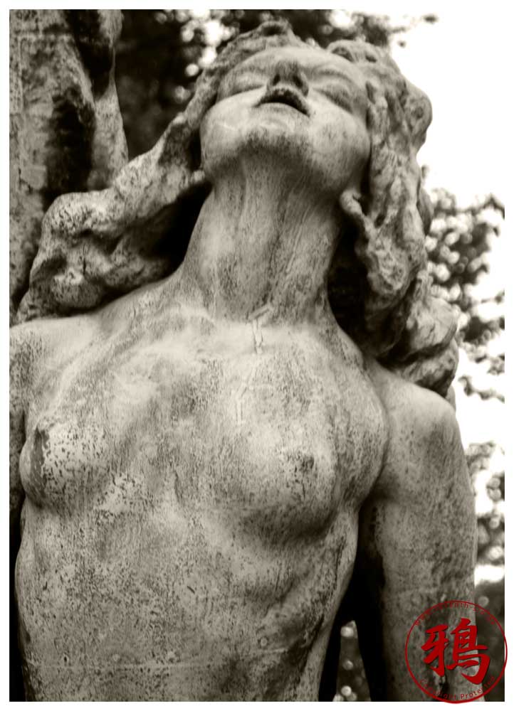 Mod Lyset (Towards the Light)