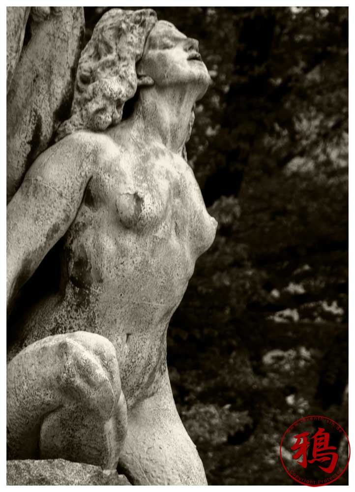 Mod Lyset (Towards the Light)